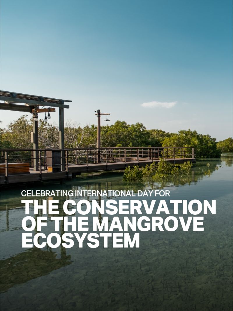 International Day for the Conservation of the Mangrove Ecosystem